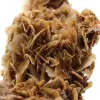 Moroccan barite coin with brown crystals - 4