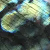 Polished Labradorite Specimen from Madagascar - Decoration - 6