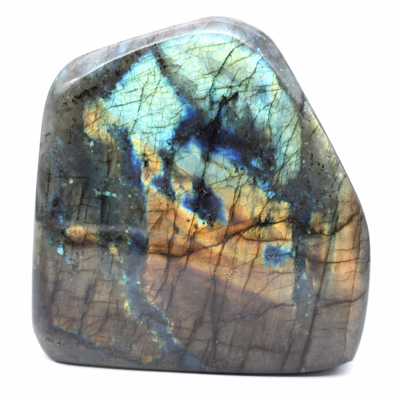 Polished Labradorite, Mineralogical Specimen
