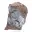 Pyrolusite, Authentic Specimen on Matrix — 1