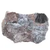 Pyrolusite, Authentic Specimen on Matrix - 0