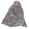 Pyrolusite, Authentic Specimen on Matrix - 6