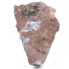 Authentic Pyrolusite Crystals on Matrix - 2