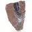 Authentic Pyrolusite Crystals on Matrix