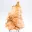 Specimen of Moroccan orange barite in natural crystals — 5