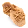 Desert rose of Morocco: a specimen of natural crystallization - 0