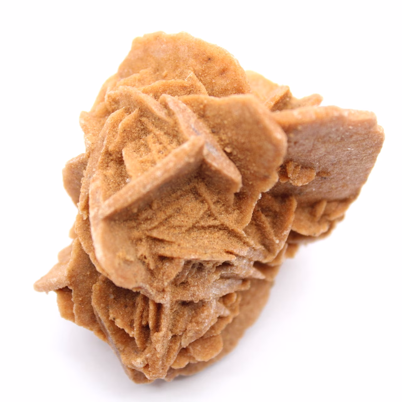 Moroccan desert rose crystals for mineralogical collections
