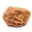 Moroccan Desert Rose Formation: Collector's Gypsum
