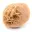 Small Desert Rose of Morocco: natural geological fragment — 3