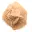 Small Desert Rose of Morocco: natural geological fragment — 5
