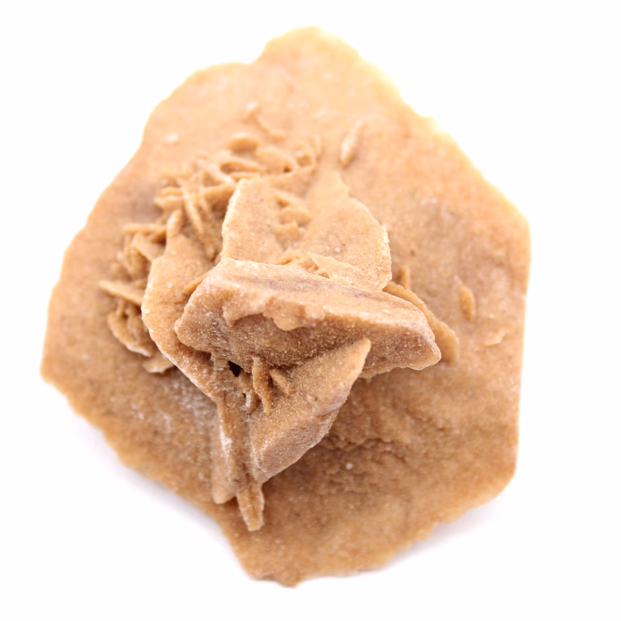 Gypsum rosette from Morocco: natural crystal from the Sahara
