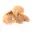 Small Desert Rose of Morocco: natural geological fragment — 7
