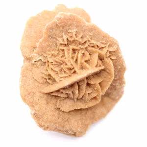 Moroccan desert rose: a crystalline bouquet of gypsum