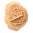 Moroccan desert rose: a crystalline bouquet of gypsum