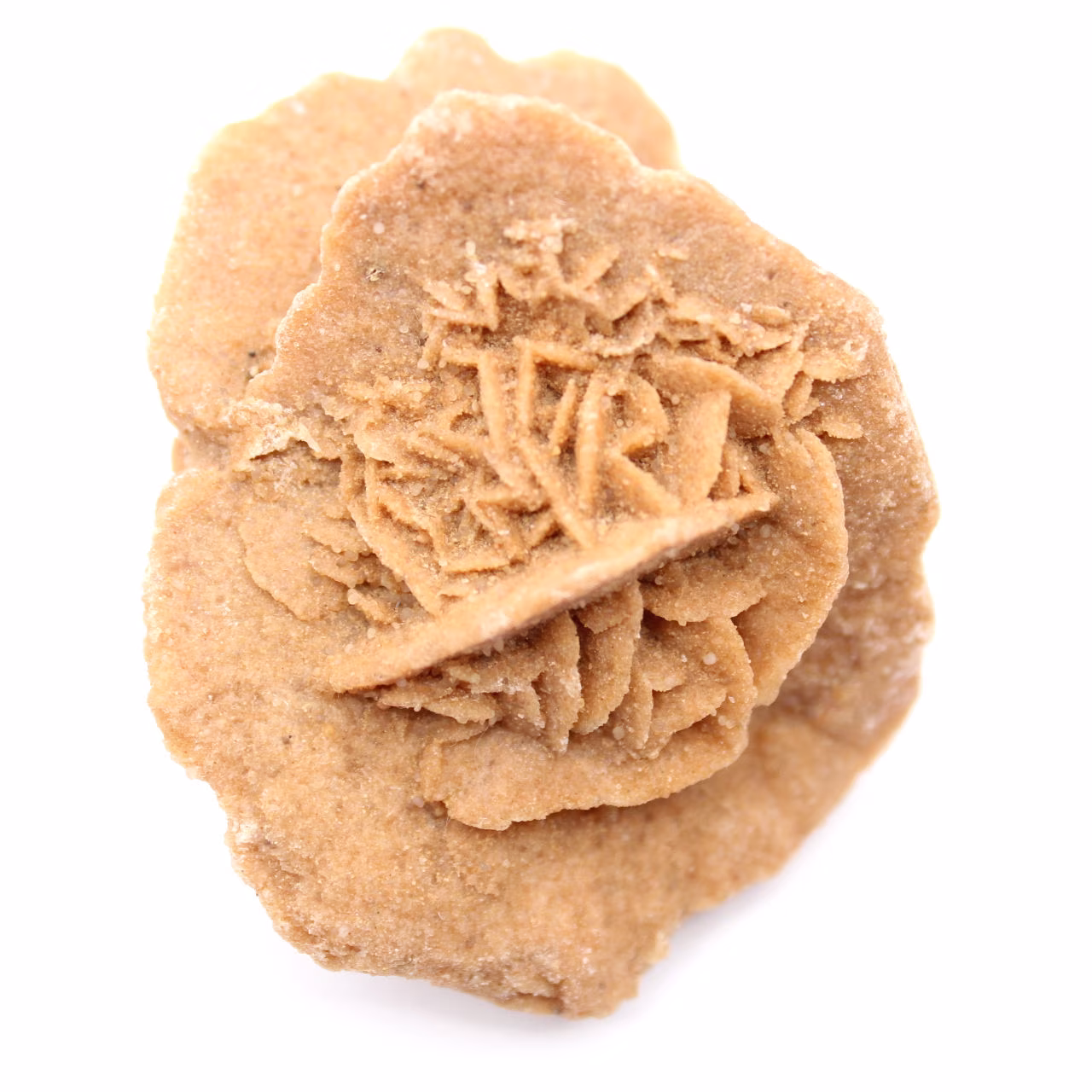 Moroccan desert rose: a crystalline bouquet of gypsum