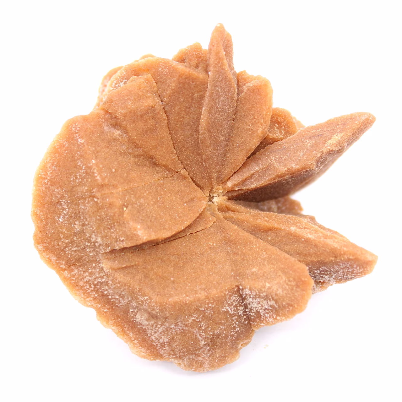 Large desert rose crystal: specimen from Morocco