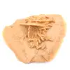 Light Moroccan Desert Rose: fine crystallization - 2