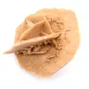 Moroccan desert rose: natural and aesthetic gypsum - 2