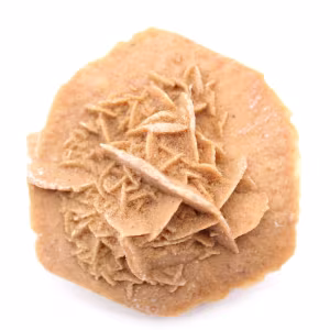 Moroccan desert rose: natural and aesthetic gypsum