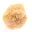 Small Desert Rose of Morocco: natural geological fragment — 13