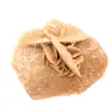 Mineral rosette of Morocco: gypsum crystallization - 0