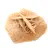Mineral rosette of Morocco: gypsum crystallization