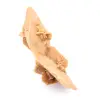 Elongated desert rose of Morocco: a geological specimen - 3