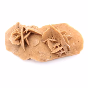 Elongated desert rose of Morocco: a geological specimen