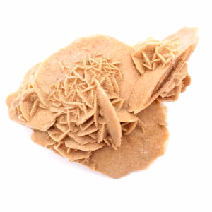Desert rose of Morocco: substantial gypsum crystal