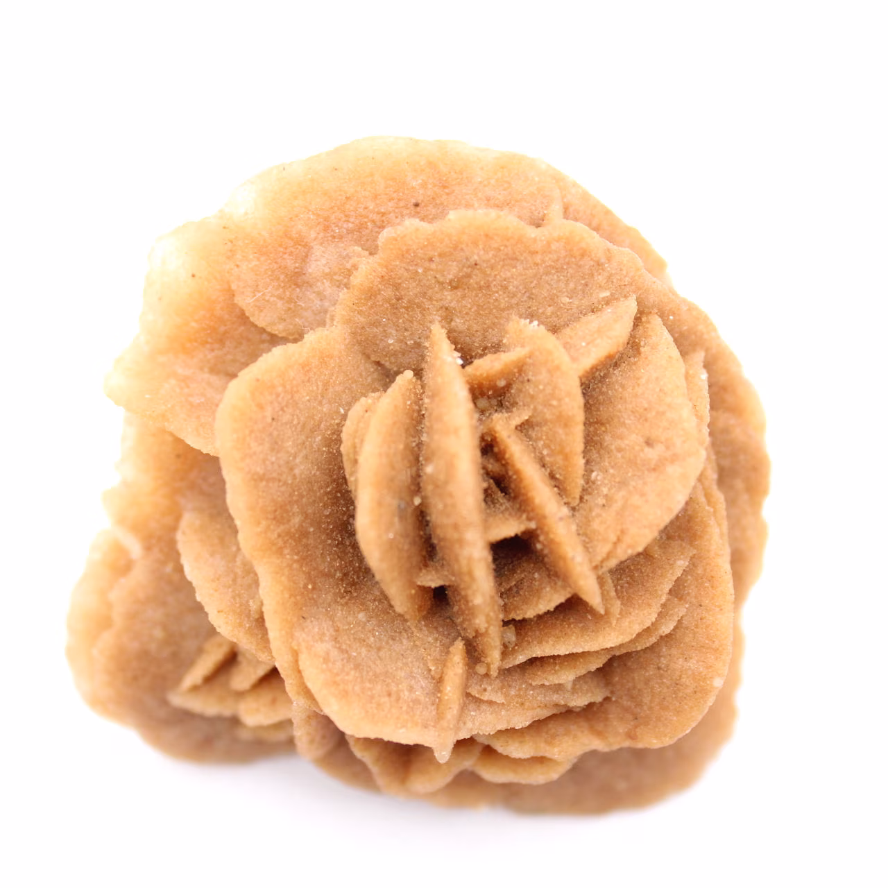 Moroccan desert rose: natural gypsum bouquet