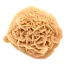 Specimen of Moroccan Desert Rose: dense crystallization - 2