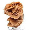 Desert Rose of the Algerian Sahara - 2
