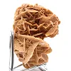 Desert Rose of the Algerian Sahara - 3