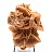 Desert Rose of the Algerian Sahara
