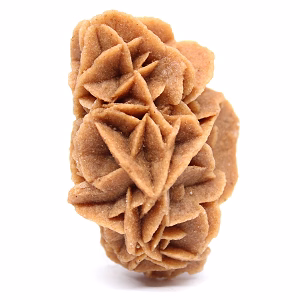 Natural rosette gypsum crystals
