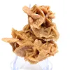 Raw mineralogical specimen from the desert - 0