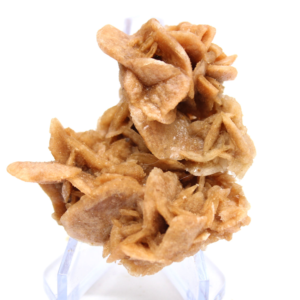 Raw mineralogical specimen from the desert
