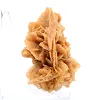 Fragment of crystallized gypsum from Algeria - 3