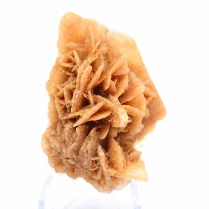 Fragment of crystallized gypsum from Algeria