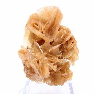 Small collectible Sand Rose