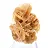 Small collectible Sand Rose