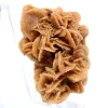 Natural architecture in brown gypsum - 3