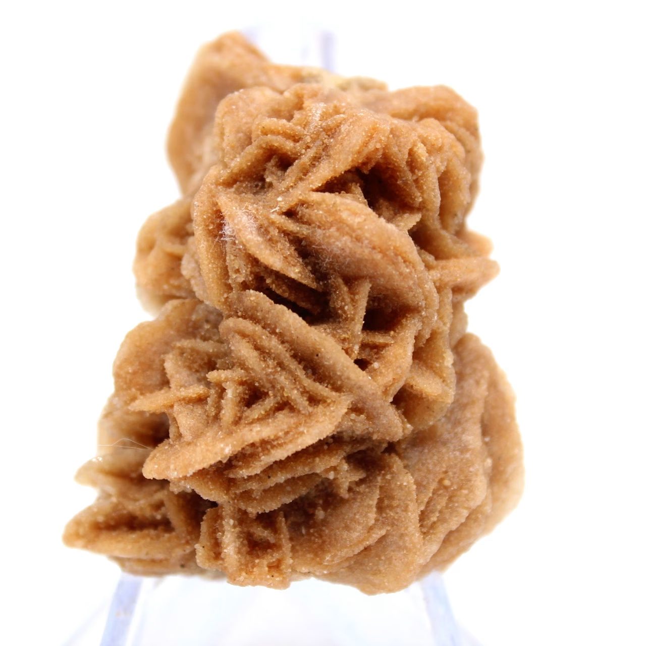 Natural architecture in brown gypsum