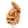 Mineral bouquet of crystallized sand - 2
