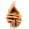 Mineral bouquet of crystallized sand - 3