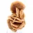 Mineral bouquet of crystallized sand