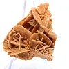 Mineral petals of the Algerian Sahara - 2