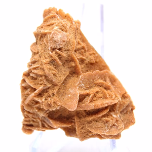 Mineral petals of the Algerian Sahara