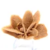Authentic gypsum crystallization - 0