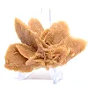 Authentic gypsum crystallization - 2